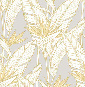 Birds of Paradise Grey & Metallic Gold by Seabrook Wallpaper