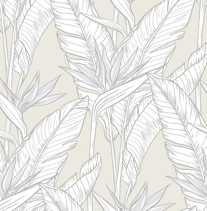 Birds of Paradise Pearl Grey & Metallic Silver by Seabrook Wallpaper Stacy Garcia Peel and Stick United States 30.75 20.87" 20.5" - Fabric Carolina -