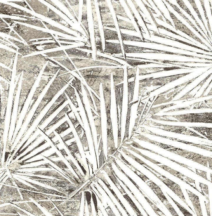 Fossil Palm Pavestone by Seabrook Wallpaper Stacy Garcia Peel and Stick United States 17.08 20.87" 20.5" - Fabric Carolina -