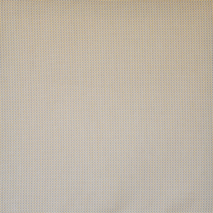 Sea Wall # 803 Citrine by Maxwell Designer Fabric Home & Garden-Act I 100% SUNBRELLA ACRYLIC USA 54" - Swanky Fabrics -