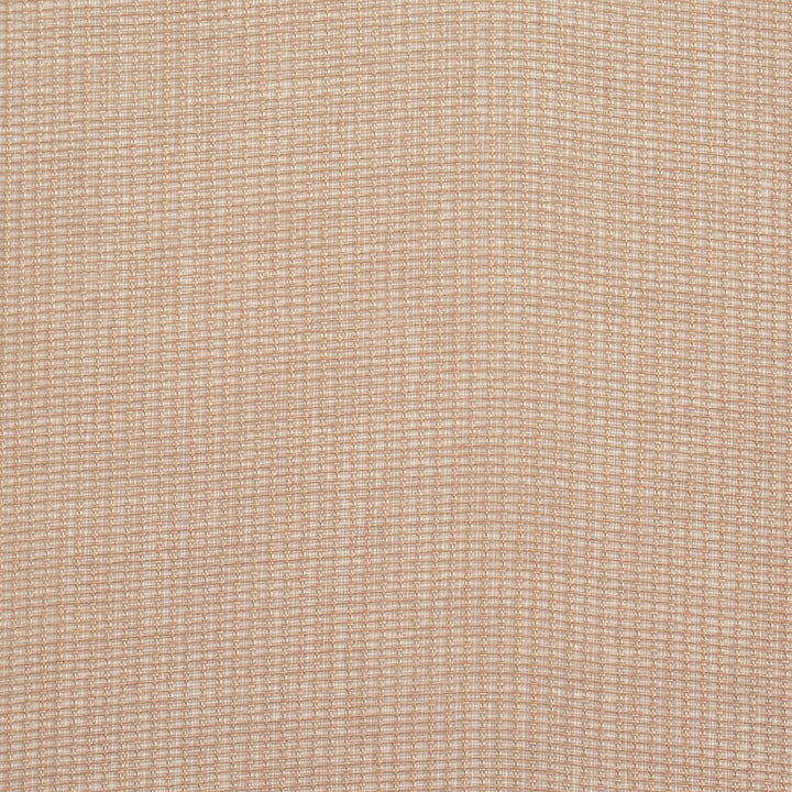 SH04 Taupe by Charlotte Fabric Value Sheers 100% Polyester Asia Performance Grade Sheer No Repeat 118 Inches - Fabric Carolina -
