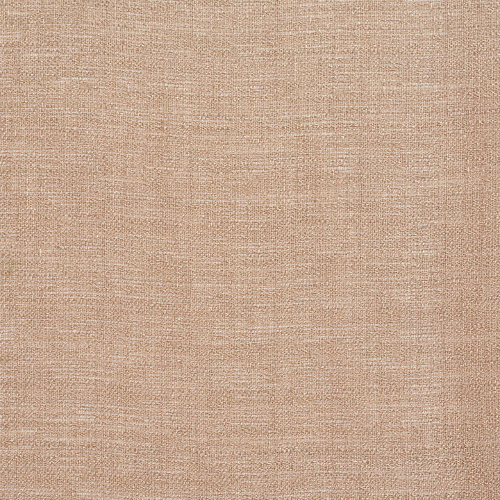 SH16 Bisque by Charlotte Fabric Value Sheers 100% Polyester Asia Performance Grade Sheer No Repeat 118 Inches - Fabric Carolina -
