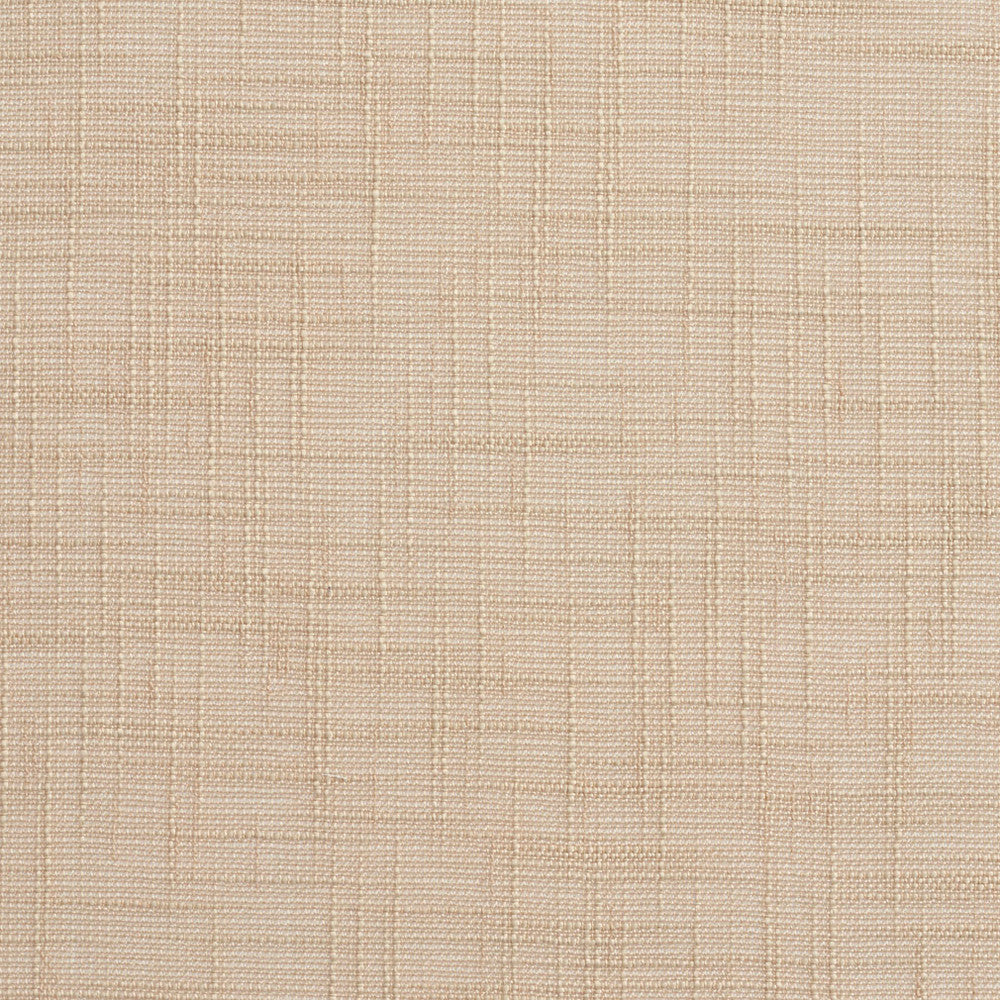 SH26 Beige by Charlotte Fabric Value Sheers 100% Polyester Asia Performance Grade Sheer No Repeat 110 Inches - Fabric Carolina -