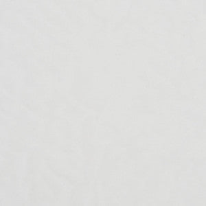 SH33 Neutral by Charlotte Fabric