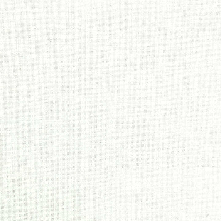 Shaggy 18 Chalk by Stout Fabric Artisan Weaves 79% Cotton 21% Polyester INDIA FLAME RETARDANT-CA BULLETIN 117-SECTION E FLAME RETARDANT-U.F.A.C. CLASS 1 (OR A) WYZENBEEK 80 000 DOUBLE RUB WEAR TEST (HEAVY DUTY) Horizontal: 0 and Vertical: 0 55 in - Fabric Carolina -