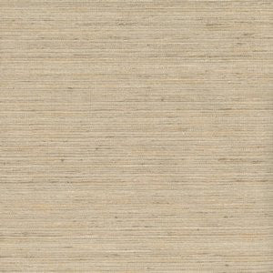 Shanghai Ecru by Norbar Fabric 75% POLYESTER 25%VISC INDIA 54 - Fabric Carolina -