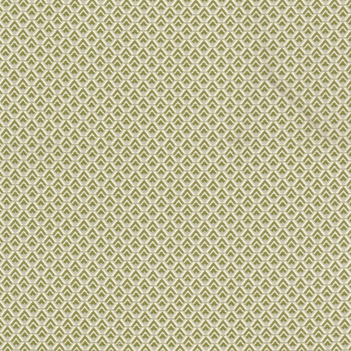 Sharon 2 Apple by Stout Fabric Stout Fabric Sharon 2 AppleFabric Great Impressions Green/Spice/Naturals 86%Cot 14%Pol USA </p><p>Repeat: H: 1, V: 2.5 55.5 in - Fabric Carolina -