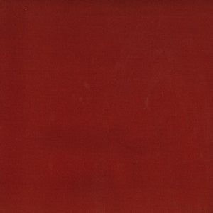 Sharp Brick by Norbar Fabric EUROPA 100% POLYESTER INDIA 50,000 WYZENBEEK 54 - Fabric Carolina -