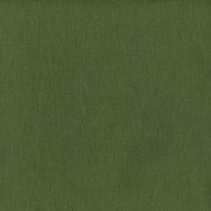 Sharp Forest by Norbar Fabric EUROPA 100% POLYESTER INDIA 50,000 WYZENBEEK </p><p>Repeat: 54 - Fabric Carolina -