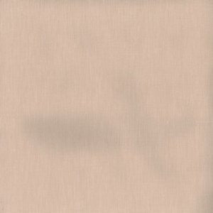 Sharp Tan by Norbar Fabric EUROPA 100% POLYESTER INDIA 50,000 WYZENBEEK </p><p>Repeat: 54 - Fabric Carolina -