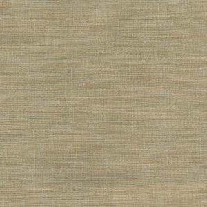 Shasta Tussah 215 by Norbar Fabric 75% POLYESTER 25% VISCOSE 54" - Fabric Carolina -