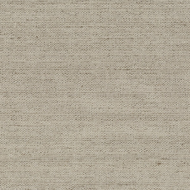 Shea 5 Ash by Stout Fabric Beautiful Accents 100% Polyester INDIA WYZENBEEK 20 000 DOUBLE RUB WEAR TEST (HEAVY DUTY) Horizontal: 0 and Vertical: 0 54 in - Fabric Carolina -