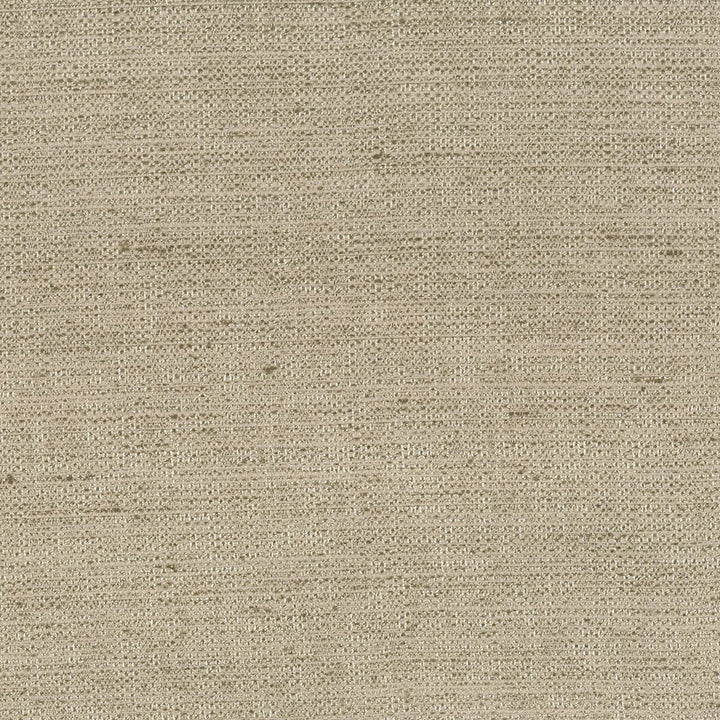 Shea 6 Linen by Stout Fabric Beautiful Accents 100% Polyester INDIA WYZENBEEK 20 000 DOUBLE RUB WEAR TEST (HEAVY DUTY) Horizontal: 0 and Vertical: 0 54 in - Fabric Carolina -