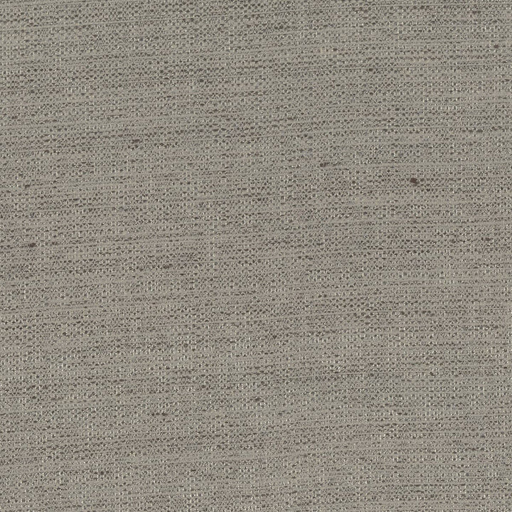 Shea 9 Pewter by Stout Fabric BEAUTIFUL ACCENTS 100%POL INDIA WYZENBEEK 20 000 DOUBLE RUB WEAR TEST (HEAVY DUTY) Horizontal: 0 and Vertical: 0 54 in - Fabric Carolina -
