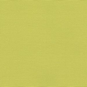 Sheik Citron 318 by Norbar Fabric 54% COTTON 46% POLYESTER INDIA 23,000 WYZENBEEK </p><p>Repeat: 55 - Fabric Carolina -