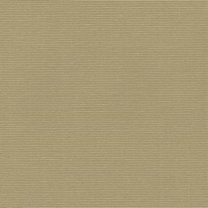 Sheik Tahini 114 by Norbar Fabric Color/GREEN-CITRUS 54% COTTON 46% POLYESTER INDIA 23,000 WYZENBEEK 55 - Fabric Carolina -