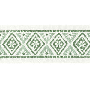 Shenandoah Tape 3 Seaglass by Stout Trim