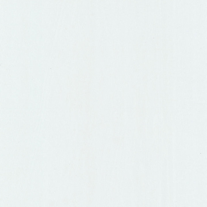 Sherwood 6 Ecru by Stout Fabric QUIET OASIS 100%POL TURKEY Horizontal: 0.000 and Vertical: 0.000 118 in - Fabric Carolina -