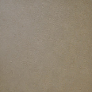 Stallion # 4001 Antelope by Maxwell Fabric