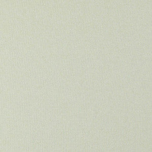 Super Weave # 41 Linen by Maxwell Fabric
