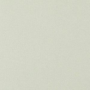 Super Weave # 42 Flax by Maxwell Fabric