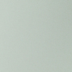 Super Weave # 46 Limestone by Maxwell Fabric
