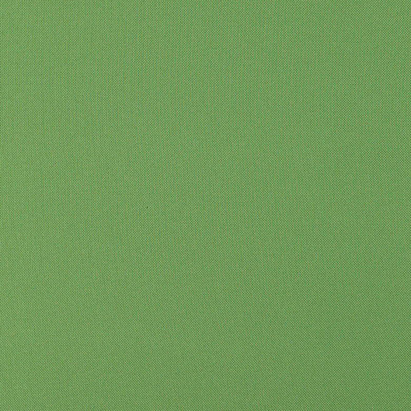 Super Weave # 49 Basil by Maxwell Fabric WEAVE WORKS II 100% POLYESTER CHINA </p><p>Repeat: Horizontal: and Vertical: 57.9" - Fabric Carolina -