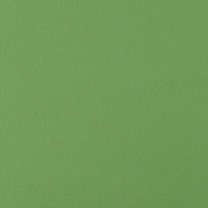 Super Weave # 49 Basil by Maxwell Fabric WEAVE WORKS II 100% POLYESTER CHINA </p><p>Repeat: Horizontal: and Vertical: 57.9" - Fabric Carolina -