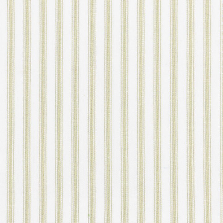 Shiloh 1 Aloe by Stout Fabric RAINBOW LIBRARY PEAR/JUNGLE 100%COT CHINA PERFORMANCE RATED FABRIC CATB 117-2013 WYZENBEEK 30 000 DOUBLE RUB WEAR TEST (HEAVY DUTY) Horizontal: 0.500 and Vertical: 0.000 56 in - Fabric Carolina -
