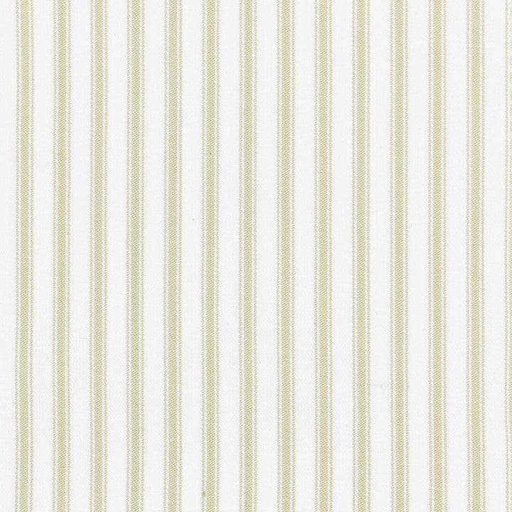 Shiloh 1 Aloe by Stout Fabric Stout Fabric Shiloh 1 AloeFabric RAINBOW LIBRARY PEAR/JUNGLE 100%COT CHINA </p><p>Repeat: H: 0.500, V: 0.000 56 in - Fabric Carolina -