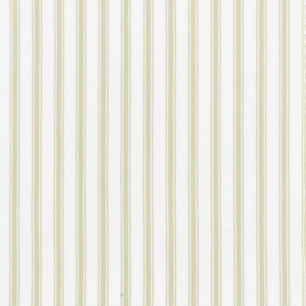 Shiloh 1 Aloe by Stout Fabric Stout Fabric Shiloh 1 AloeFabric RAINBOW LIBRARY PEAR/JUNGLE CHINA </p><p>Repeat: H: 0.500, V: 0.000 56 in - Fabric Carolina -