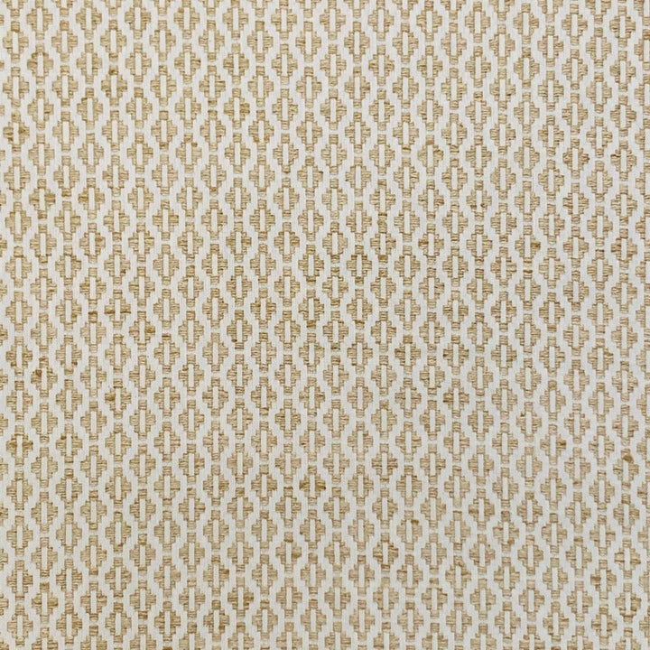 Shiva Dune by Magnolia Fabric - 65Poly/35Ctn India 50000 Horizontal: 0.8 and Vertical: 0.75 54" - Fabric Carolina -