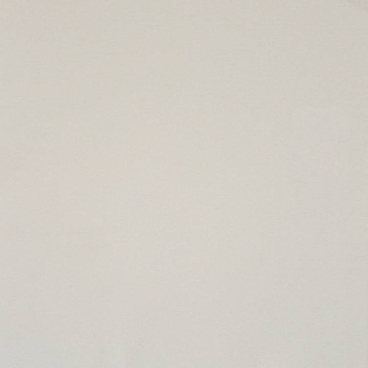 Silk Touch # 103 Ivory by Maxwell Fabric PURE & SIMPLE II 80% RAYON 20% POLYESTER INDIA </p><p>Repeat: Horizontal: and Vertical: 54" - Fabric Carolina -