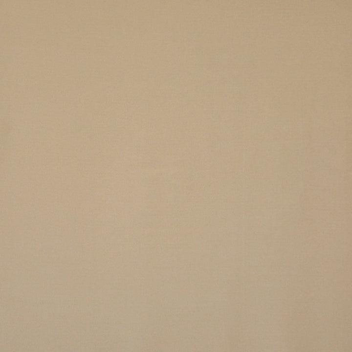 Silk Touch # 119 Champagne by Maxwell Fabric PURE & SIMPLE II 80% RAYON 20% POLYESTER INDIA </p><p>Repeat: Horizontal: and Vertical: 54" - Fabric Carolina -