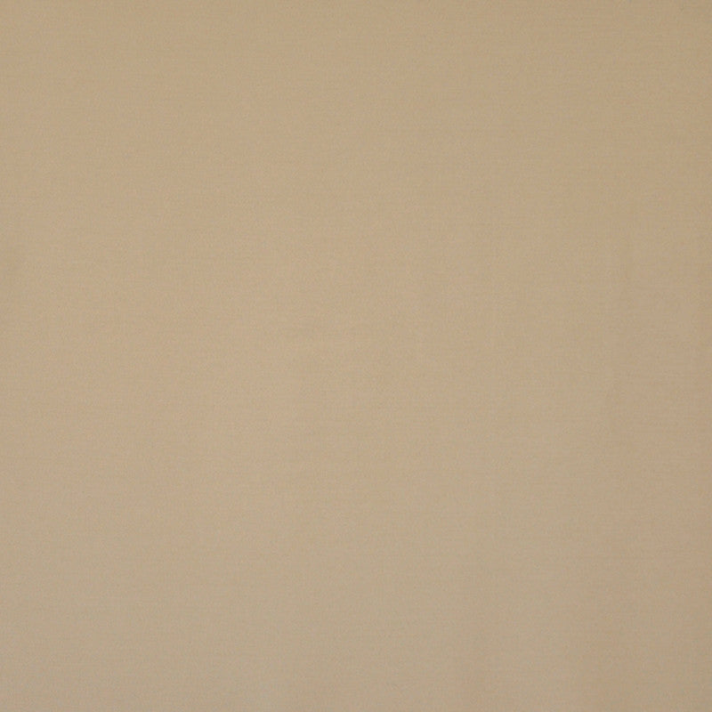 Silk Touch # 119 Champagne by Maxwell Fabric PURE & SIMPLE II 80% RAYON 20% POLYESTER INDIA </p><p>Repeat: Horizontal: and Vertical: 54" - Fabric Carolina -