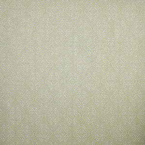 Sudden Move # 238 Grasslands by Maxwell Fabric