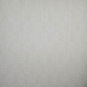 Sudden Move # 526 Tumbleweed by Maxwell Fabric