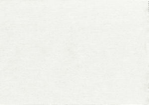 Shuster Ice by Norbar Fabric BLISS 100% INHERENTLY FLAME INDIA 54 - Fabric Carolina -