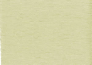 Shuster Sage by Norbar Fabric
