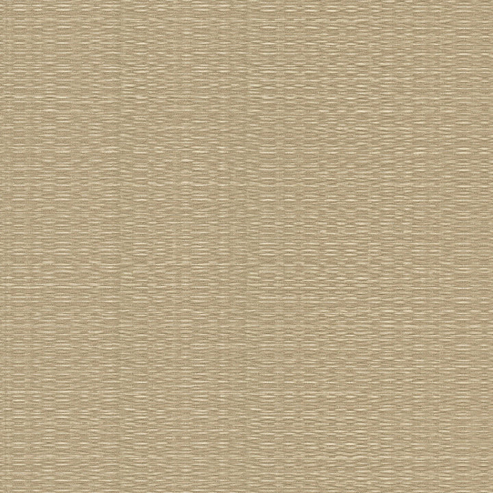 Bali Basketweave Straw Wallpaper by York Wallcoverings Signature Textures Resource Library Covers about 57.5 square feet 20.9-in by 33-ft long roll Unpasted 0 - Fabric Carolina -