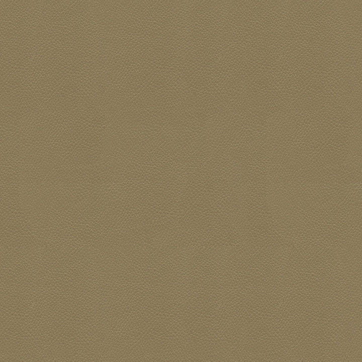 Side Kick Taupe by Kravet Couture Fabric - NYLON - 100% United States HEAVY Horizontal: - and Vertical: - 54 - Fabric Carolina -