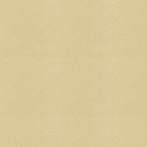 Side Kick Fog by Kravet Couture Fabric