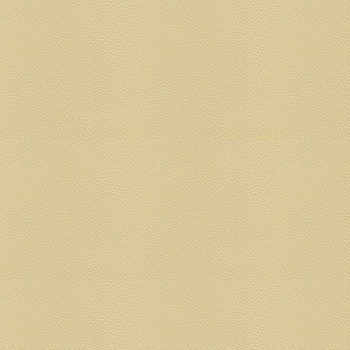 Side Kick Fog by Kravet Couture Designer Fabric - NYLON - 100% United States HEAVY Horizontal: - and Vertical: - 54 - Swanky Fabrics -