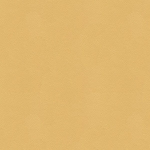 Side Kick Croissant by Kravet Couture Fabric