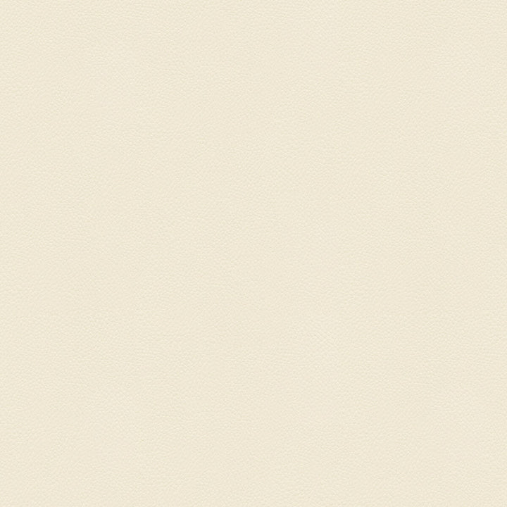 Side Kick Blanc by Kravet Couture Fabric - NYLON - 100% United States HEAVY Horizontal: - and Vertical: - 54 - Fabric Carolina -
