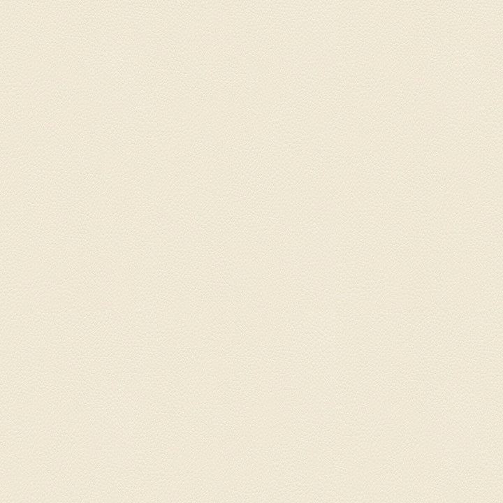 Side Kick Blanc by Kravet Couture Designer Fabric - NYLON - 100% United States HEAVY Horizontal: - and Vertical: - 54 - Swanky Fabrics -