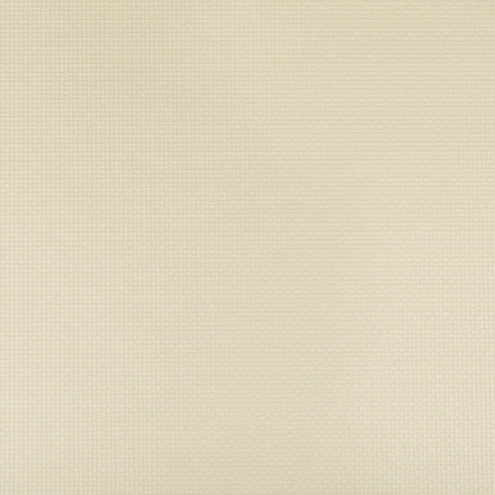 Sidney Papyrus by Kravet Contract Fabric SILICONE - 100% China HEAVY Horizontal: 0 and Vertical: 0 55 - Fabric Carolina -