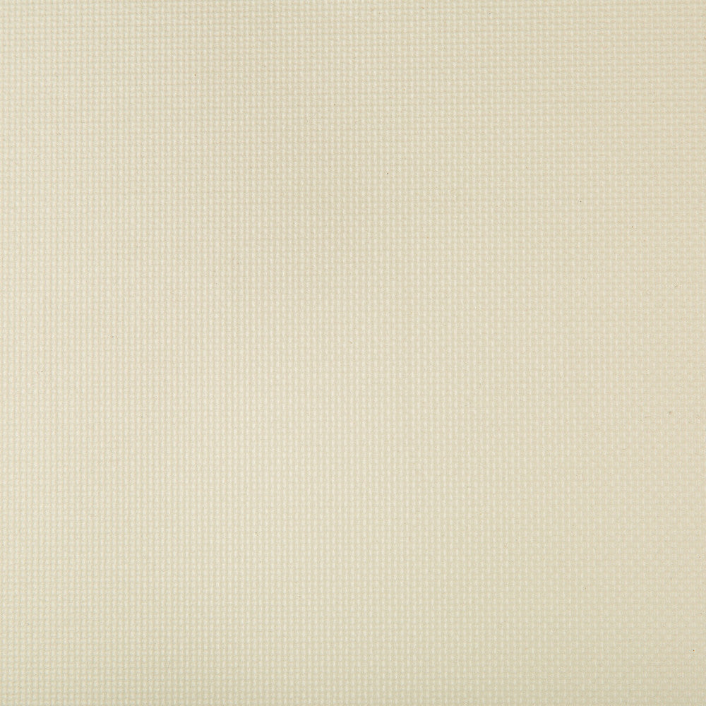 Sidney Stucco by Kravet Contract Fabric - SILICONE - 100% China HEAVY Horizontal: 0 and Vertical: 0 55 - Fabric Carolina -
