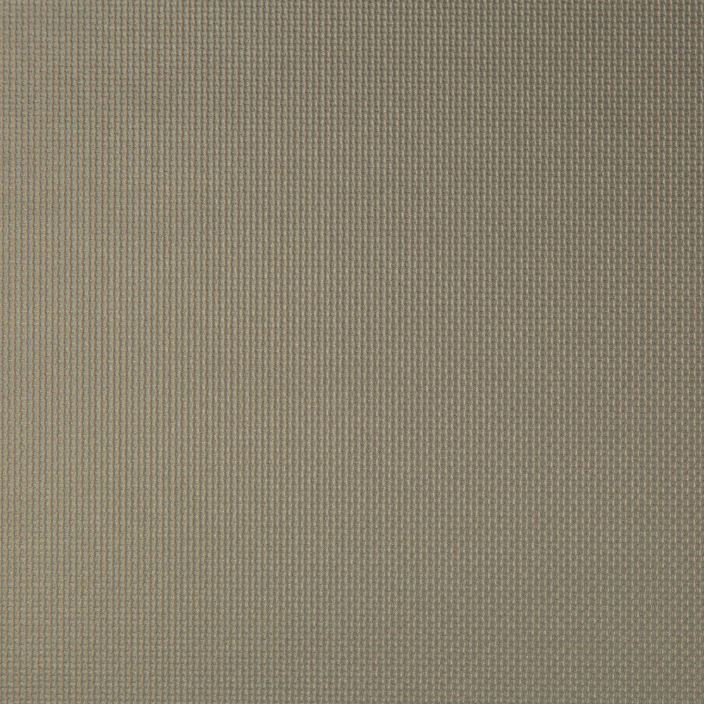 Sidney Porcini by Kravet Contract Fabric SILICONE - 100% China HEAVY Horizontal: 0 and Vertical: 0 55 - Fabric Carolina -
