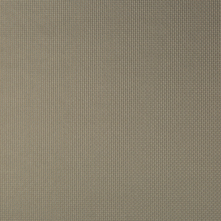 Sidney Porcini by Kravet Contract Fabric - SILICONE - 100% China HEAVY Horizontal: 0 and Vertical: 0 55 - Fabric Carolina -